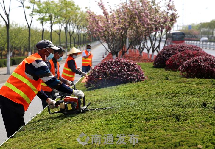 高速绿化工程植物纤维毯 高速绿化工程植物纤维毯