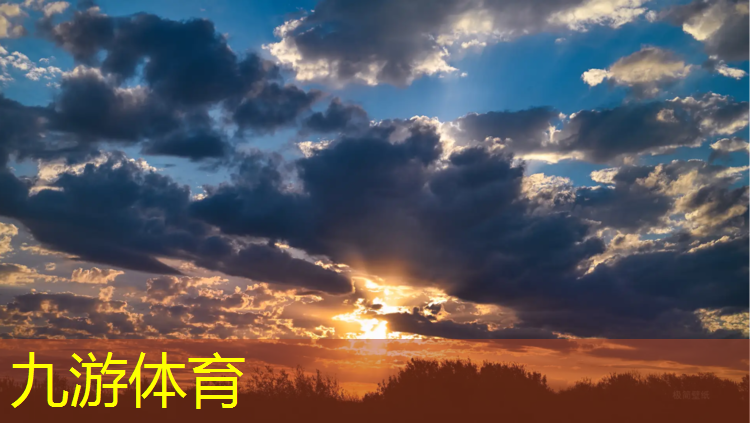小院园林绿化工程方案